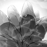 Out of Sight